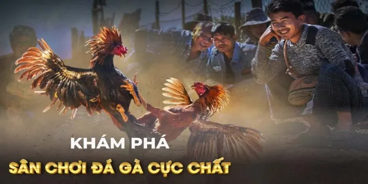 Cách Chơi Đá Gà GA28 Tại Bet88 Thắng Lớn Với Mẹo Hay Ngay Lập Tức 2 Cách Chơi Đá Gà GA28 Tại Bet88 Thắng Lớn Với Mẹo Hay Ngay Lập Tức