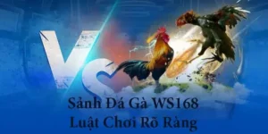 Khám Phá Cách Chơi Đá Gà WS168 Tại Bet88 Ngay Hôm Nay 1 Khám Phá Cách Chơi Đá Gà WS168 Tại Bet88 Ngay Hôm Nay