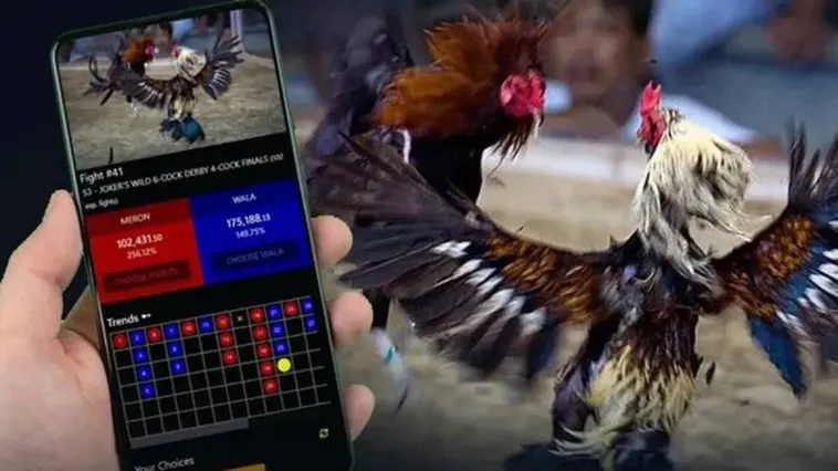 Khám Phá Đá Gà Bet88 Ngay Để Thắng Lớn Hấp Dẫn