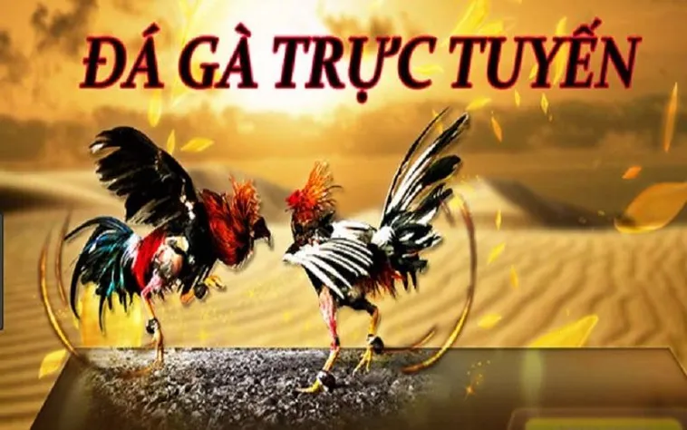 Khám Phá Đá Gà Bet88 Ngay Để Thắng Lớn Hấp Dẫn